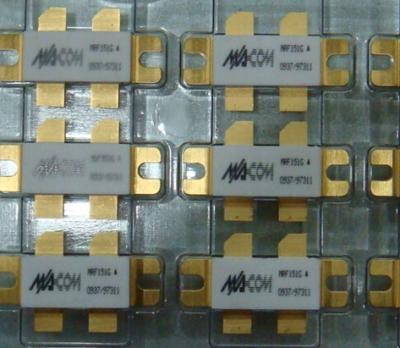 China Chips New MRF151G original MRF151G for sale