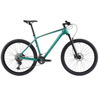 China Newest carbon fiber mountain bike 29 full inch frame mountain bike 22speed carbon fiber MTB shockproof bike for sale