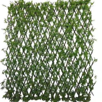 China Easily Assembled Outdoor Fence Rot Proof Expanding Willow Flower Trellis Professional Design High Quality for sale