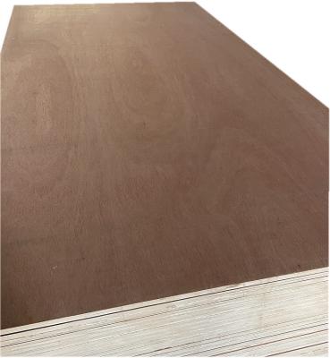 China modern bintangor plywood/hardwood plywood/marine plywood sheet for sale