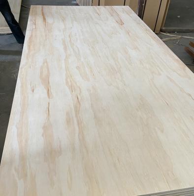 China Modern Custom Birch Plywood 3mm 6mm 9mm 12mm 15mm 16mm 18mm for sale