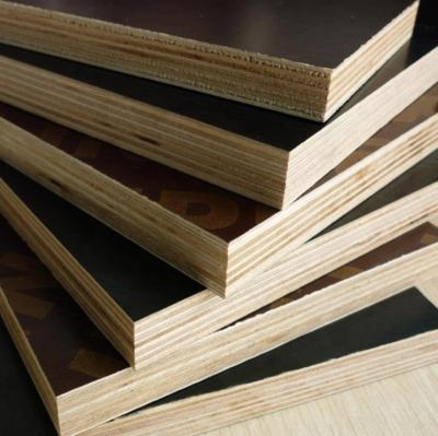 China Modern hot sale phenolic brown film faced plywood or black film faced plywood for sale