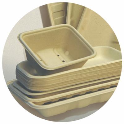 China BIO-DEGRADABLE BAGASSE TRAY, 100% BAGASSE RAW MATERIAL, STURDY AND PRETTY for sale