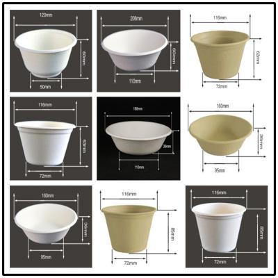 China BIO-DEGRADABLE BAGASSE BOWL, HOT AND COLD FOOD, WITH COLVER/LID, SUITABLE FOR HOLDING SALAD, HOT SOUP, RICE, ICE CREAM for sale