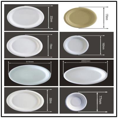 China BAGASSE BIO-DEGRADABLE PLATE, STRONG AND STURDY, OVAL AND ROUND SHAPE for sale