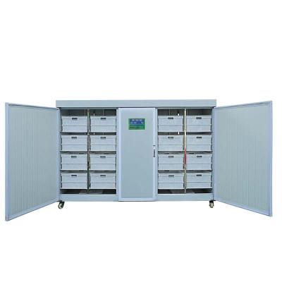 China Bean Sprout Raising Bean Sprout Equipment Sprouting Seeds High Quality Growing Machine From China Manufacturer for sale