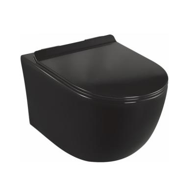 China Modern High End Concealed Custom Toilet Concealed Cistern Designer Series Matte Black Color Wall Hung Bathroom Cistern FT176LH Europe for sale