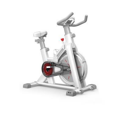 China Stepless Resistance 4kg Flywheel Indoor Spin Bike for Silent Home and Gym Workout for sale