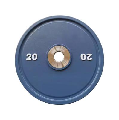 China Factory Sale Gym Equipment Cast Iron Free Weight Disc Lifting Barbell Bumper Plate Set for Gym for sale