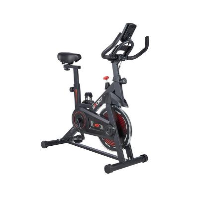 China Silent Portable Spin Bike Customized Logo and Steel Construction for Home Exercise for sale