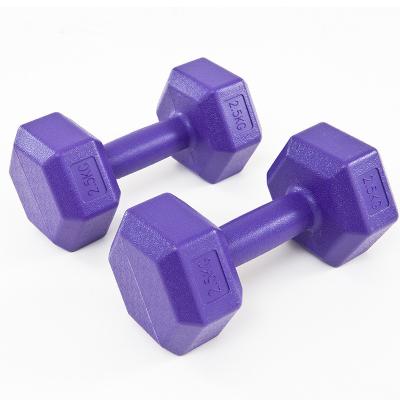 China Custom Logo Dumbbells Color 5KG Cement Dumbbells For Women Sand Plastic Cement Dumbbell for sale