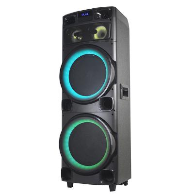 China None Dual 12 Inch Subwoofer Speaker Rechargeable PA System Altavoz-Bluetooth Speakers for sale