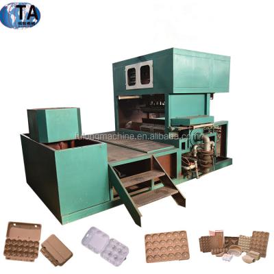 China Fulong egg pallet production line pulp molding machine recycled waste paper en venta