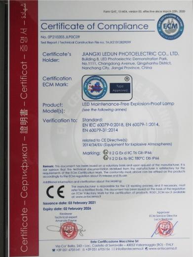 CE - Jiangxi Ledun Optoelectronics Technology Co., Ltd