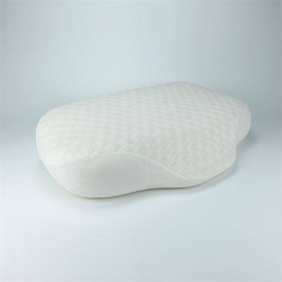 China Pure Memory Foam Back Cushion Pillow Home Memory Hotel Neck Pain Head Pillow for sale