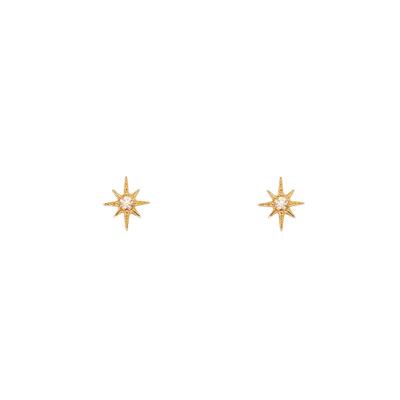 China CLASSIC New Arrival Hot Selling Sterling Silver 18K/14K Gold Plated Classic Star Stud Earrings With Zircon Custom OEM Acceptable for sale