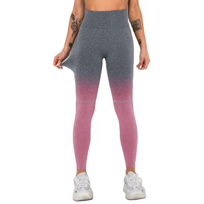 China New Breathable Border Seamless Gradient Speed ​​Yoga Dry Pants, Breathable Peach Butt Sports Gaiters, Running Fitness Pants Women for sale