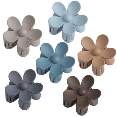 China Solid Hair Accessories 6 Pcs Sky Bend Color Matte Hair Clamp Clips Fancy Flower Clips With Strong Hold Hair Jaw Clips for sale