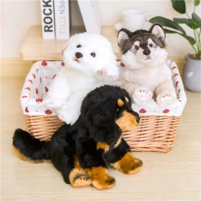 China Amazon Hot Seller Wholesale 25cm Plush Toy Professional Dog Plush Toy Eco Friendly Pet Toys Mini Dog for sale