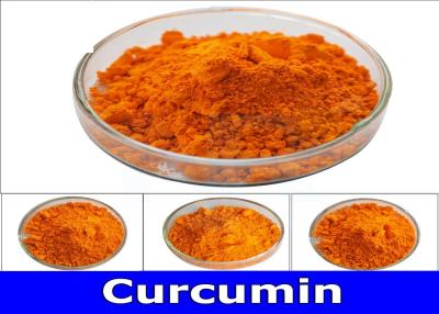 Cina Norma fine giallo arancione della curcumina USP40 dell'estratto della radice di curcuma della polvere della curcumina della curcuma in vendita