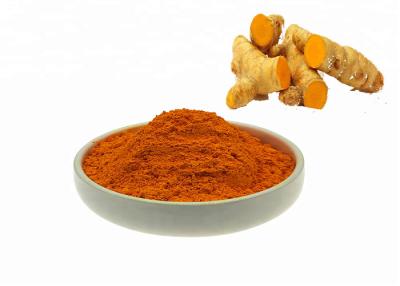 China Natural Turmeric Curcumin Powder Turmeric Root Extract Curcumin 80 Mesh 485-37-7 for sale