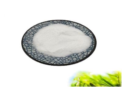 China Shrimp D Glucosamine Sulfate 2NACL 30 Mesh USP Standard CAS 38899-05-7 for sale