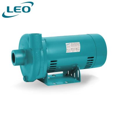 China LION XMCm 60Hz 0.5~2HP 0.37~1.5kw automotive industry high flow centrifugal cast iron agriculture water pump centrifugal pump for sale