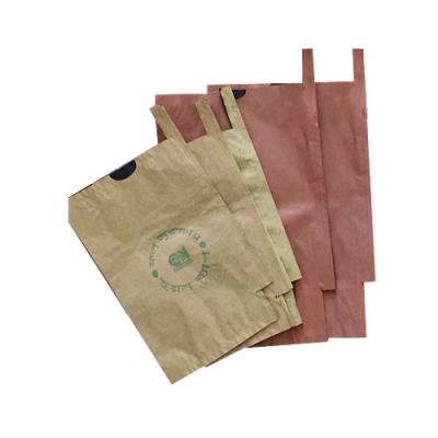 China Protect Hot Waterproof Single Double Layer Mango Grape Free Sample Double Layer Mango Growing Protection Growing Paper Bag for sale