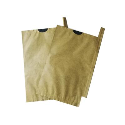 China Agriculture High Quality Waterproof Mango Protective Growing Paper Bag for sale