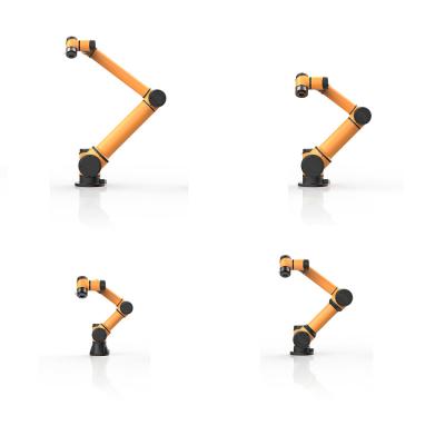 China Hotels TYPU Customized Industrial Solutions Robot Applications 6 Axis Robot Collaboration Arm for sale