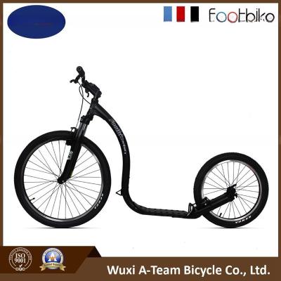 China Good Design Kick Scooter Adult Foot Scooter Kick Bike for sale