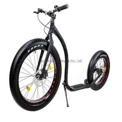 Chine City Foot Bike Kickbike Scooter Parfait pour le forfait de voyage urbain Poids brut 19.000kg à vendre