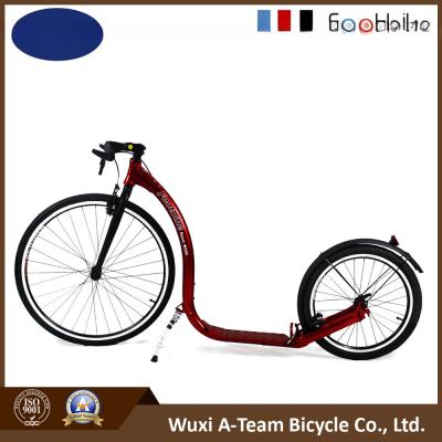 China Nuevo estilo Footbiking Kick Bike Scooter-Sport W330 en venta