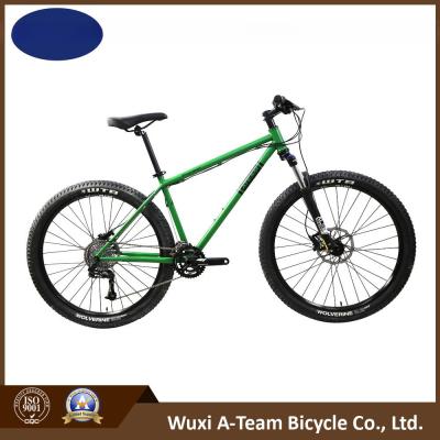 China Erwachsene Cr-Moly Mountainbikes von Sram X5 2*10 Geschwindigkeiten (MTB16) zu verkaufen