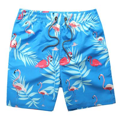 China Wholesale Windproof Beach Shorts Design Fashion Surf Quick Dry Breathable Short Board Beach Shorts Men's OEM Shorts Summer for sale