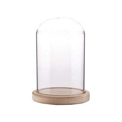 China China Clear Glass Oval Dome Showcase Cloche With Wooden Base Diameter 5 Inch 7.5 Inch Height for sale