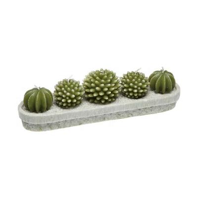 China Cactus Flameless Handmade Sensitive Succulent Candles For Birthday Party Wedding Spa Home Decoration for sale