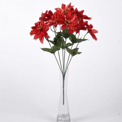 China Beautiful Colorful Flower Mini Poinsettia Christmas Decoration for sale