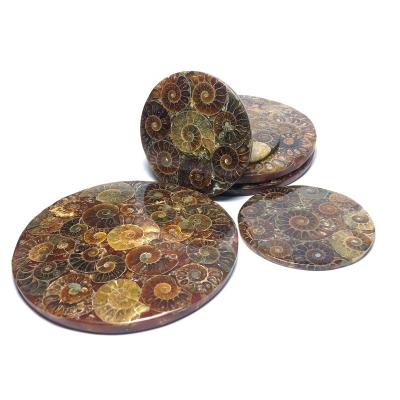 China Wholesale Europe Ammonite Round Plates Slices For Cup Coasters for sale