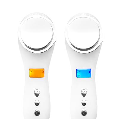 China For commercial & Home Use Touch Screen Positive Negative Ion Skin Facial Care Beauty Device for sale