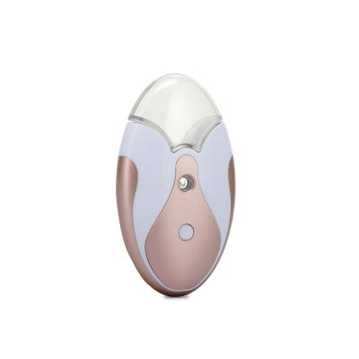 China EterWin Professional High Quality Handheld Nano Facial Spray Face Care Facial Steamer and Nasal Inhaler 13ml for sale