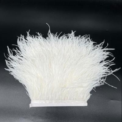 China Ostrich Feather Our Wholesale 8-10cm Ostrich Feather Clothing Accessories Party Decoration for sale