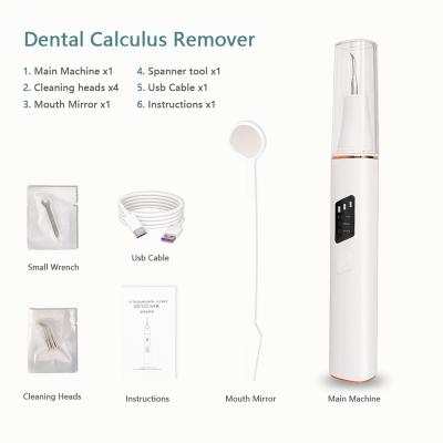 China Sonic Electric Toothbrushes For Adults Kids Dental Calculus Remover Teeth Whitening Stain Remover IPX7 Waterproof Replaceable Dental Calculus Remover T6 for sale