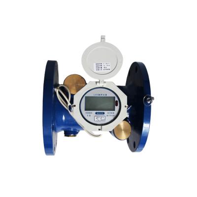 China Large Size Water Resource Management DN300mm Water Meter For Ultrasonic Water Meters High Quality for sale