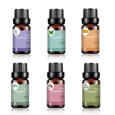 China 100% Natural Aromatherapy 12 Scents Essential Oil Diffuser esesntial Oil Sets 10ml With Dropper Bottle for sale