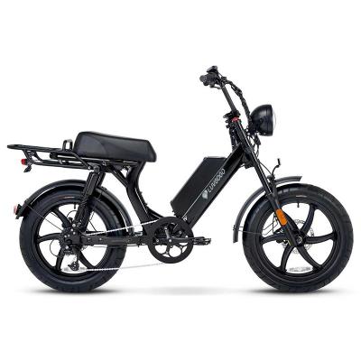 China Fat Tire Electric Bike 750w Steel 20 Inch e Bike 48v Big Tire Electric Bike City Electric Cycle for sale