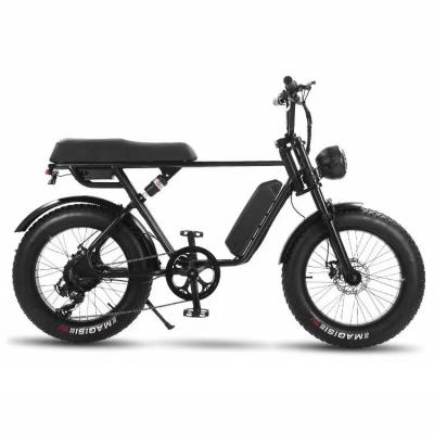 China 20 inch high quality fat tire 500W/750W/1000W steel ebike road mountain aluminum alloy city electric bike for sale