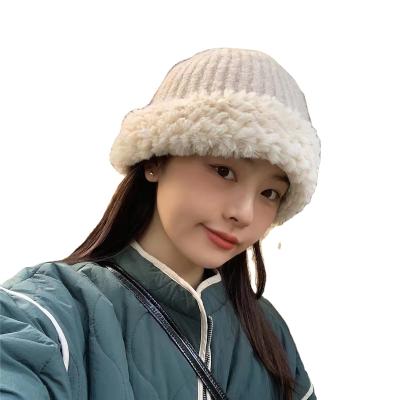 China COMMON Women's Autumn And Winter Hat Warm Wool Plush Knitted Bucket Hat for sale