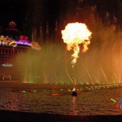 China Fire Water Fountain DMX Control Safe Artificial Fire Flame Musical Water Fountain for sale