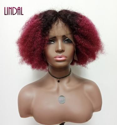 China LINDAL Brazilian Curly Hair Wigs Lace Front Closure Human Wig Afro Kinky Curly Human Hair Extension Vendors Wigs for sale